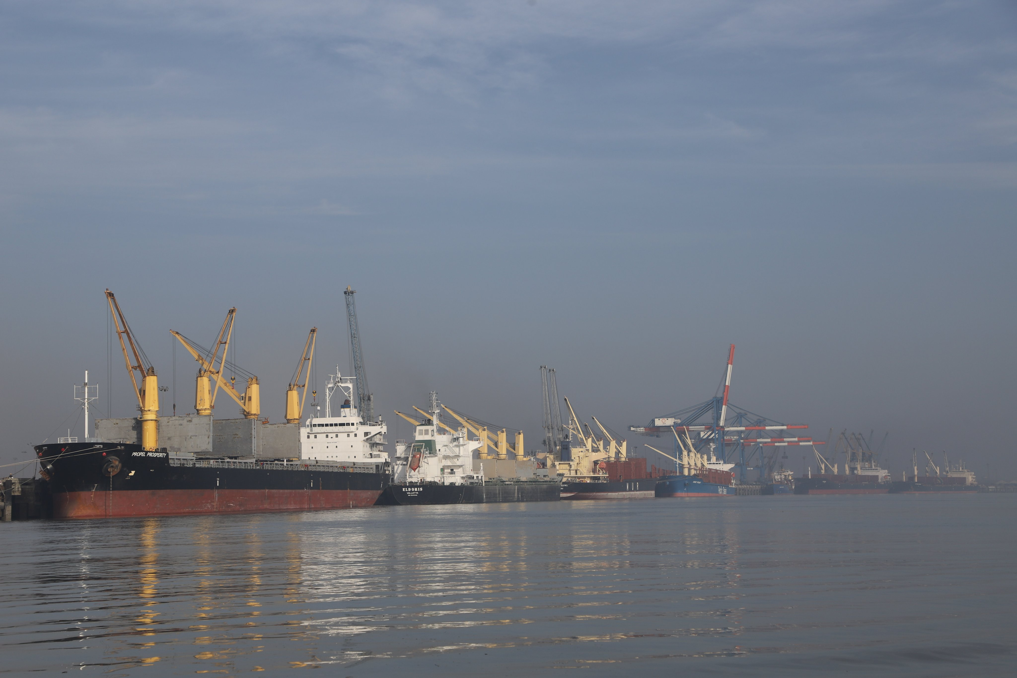 Working Kandla cargo-berth line at Deendayal Port with bulk vessels, ship cranes and quay cranes